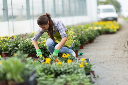 Gardener inspecting a lawn edge