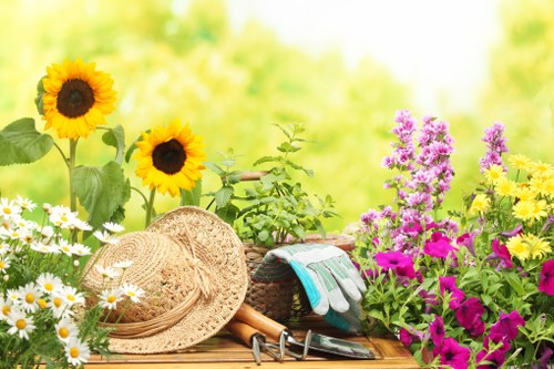 A vibrant garden scene featuring a variety of flowering plants in full bloom, including bright yellow sunflowers with large dark centers, clusters of pink and purple flowers, and white daisies with yellow centers. The plants are arranged in a well-maintained garden bed with rich, dark soil visible at the base. In the foreground, there is a natural wooden garden table holding gardening tools and accessories, such as a straw sunhat, gardening gloves, a small trowel, pruning shears, and a garden fork, suggesting outdoor gardening activity. The background is softly lit with a natural daylight glow, highlighting the lush greenery and the colorful blooms, indicative of a healthy, thriving garden environment typical of outdoor spaces in Feltham or nearby areas. The scene subtly underscores gardening and lawn care services offered by Lawn Mowing Feltham, focusing on garden aesthetics and outdoor maintenance in a local residential setting.