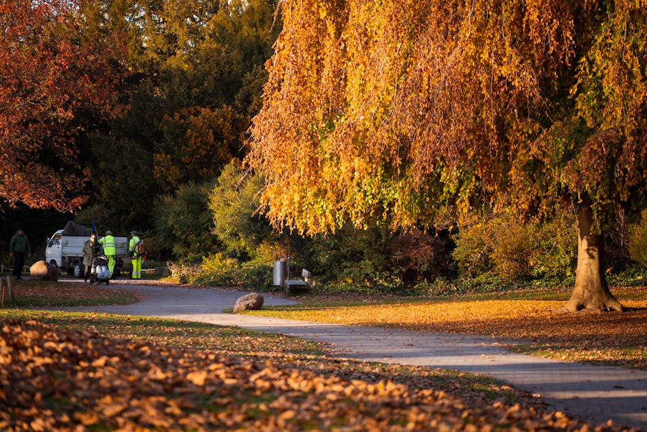 A peaceful urban park scene in Feltham during autumn, featuring a winding concrete pathway bordered by grass and scattered fallen leaves. Several mature trees with textured trunks and broad canopies f